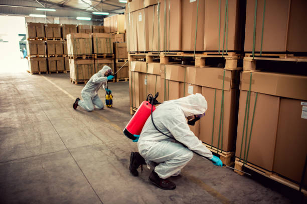 Best Affordable Pest Control Services  in Rocky River, OH