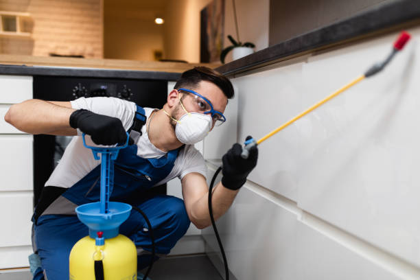 Best Cockroach Control Services  in Rocky River, OH