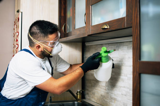 Best Best Pest Control Companies  in Rocky River, OH