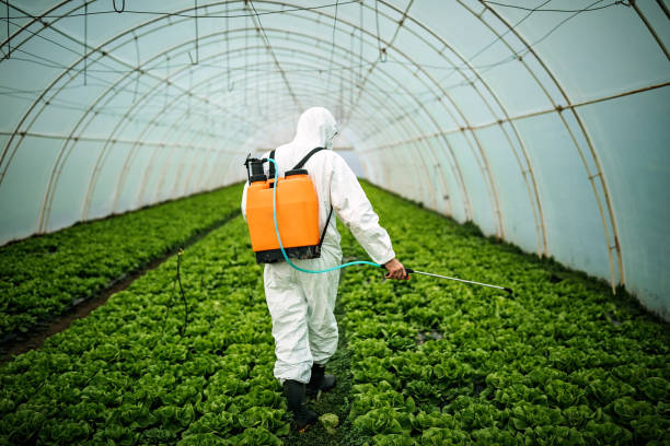 Best Local Pest Control Services  in Rocky River, OH